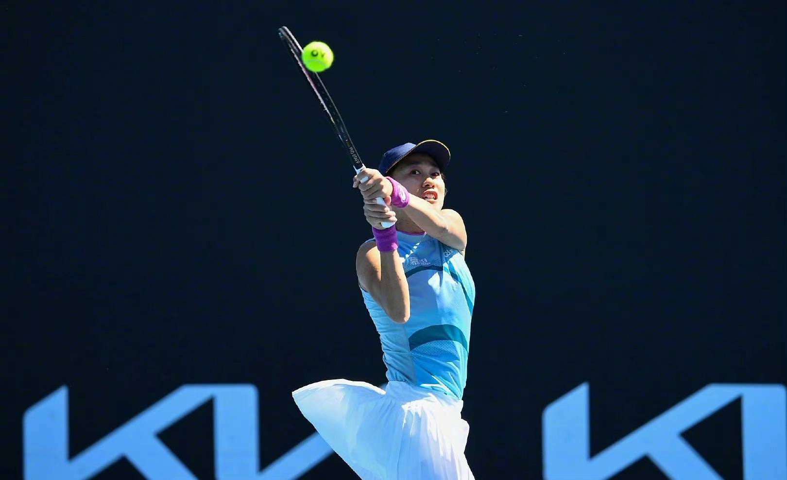 精密的模拟 精密的模拟